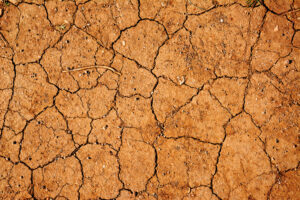 dry, shrunken soil with cracks