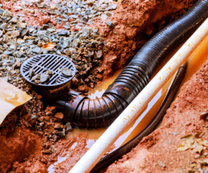 French Drains vs. Other Yard Drainage Solutions: What’s Best for Your Home?