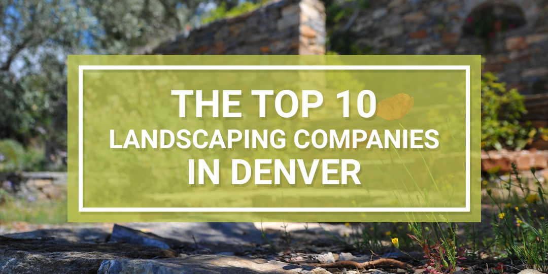 Best Denver Landscaping Companies