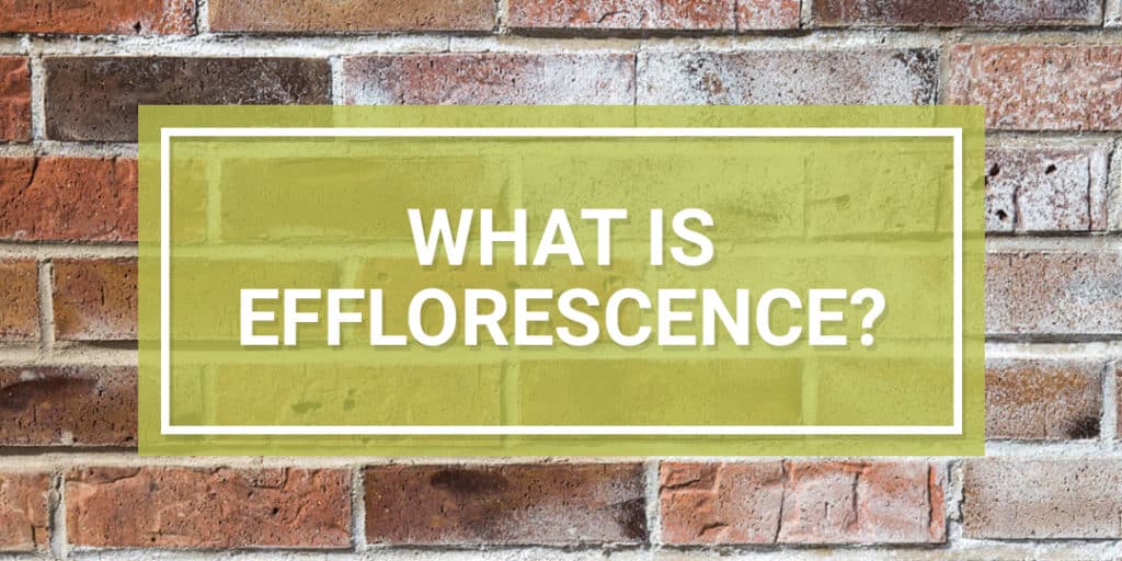 what-is-efflorescence-how-to-treat-prevent-remove-it