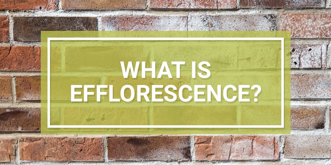 What is efflorescence